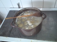 /album/fotogaleria/dsc00095-jpg/