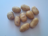 /album/fotogaleria/dsc00285-jpg/